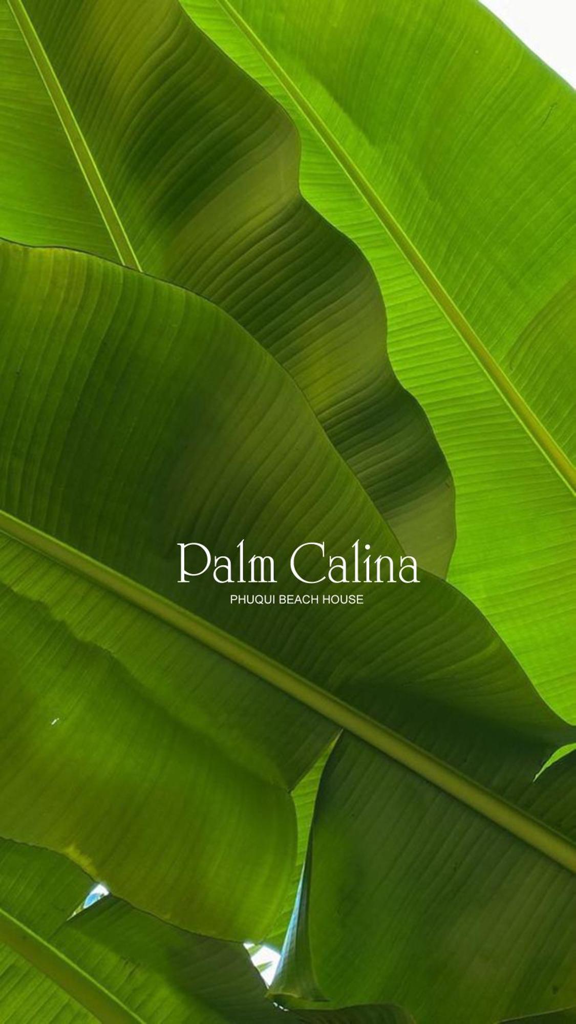 Palmcalina - Phuqui Beach House Cu Lao Thu エクステリア 写真