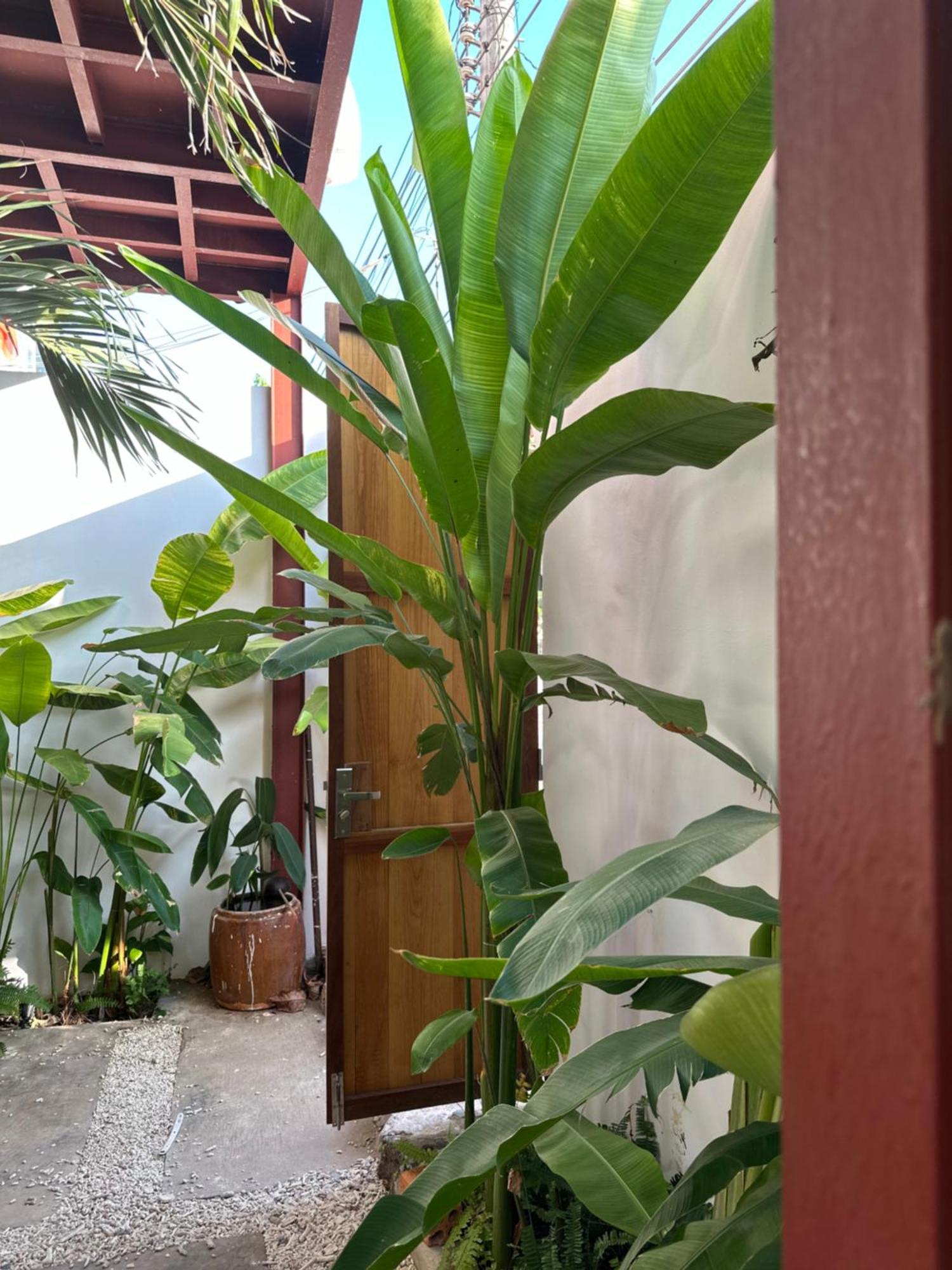 Palmcalina - Phuqui Beach House Cu Lao Thu エクステリア 写真