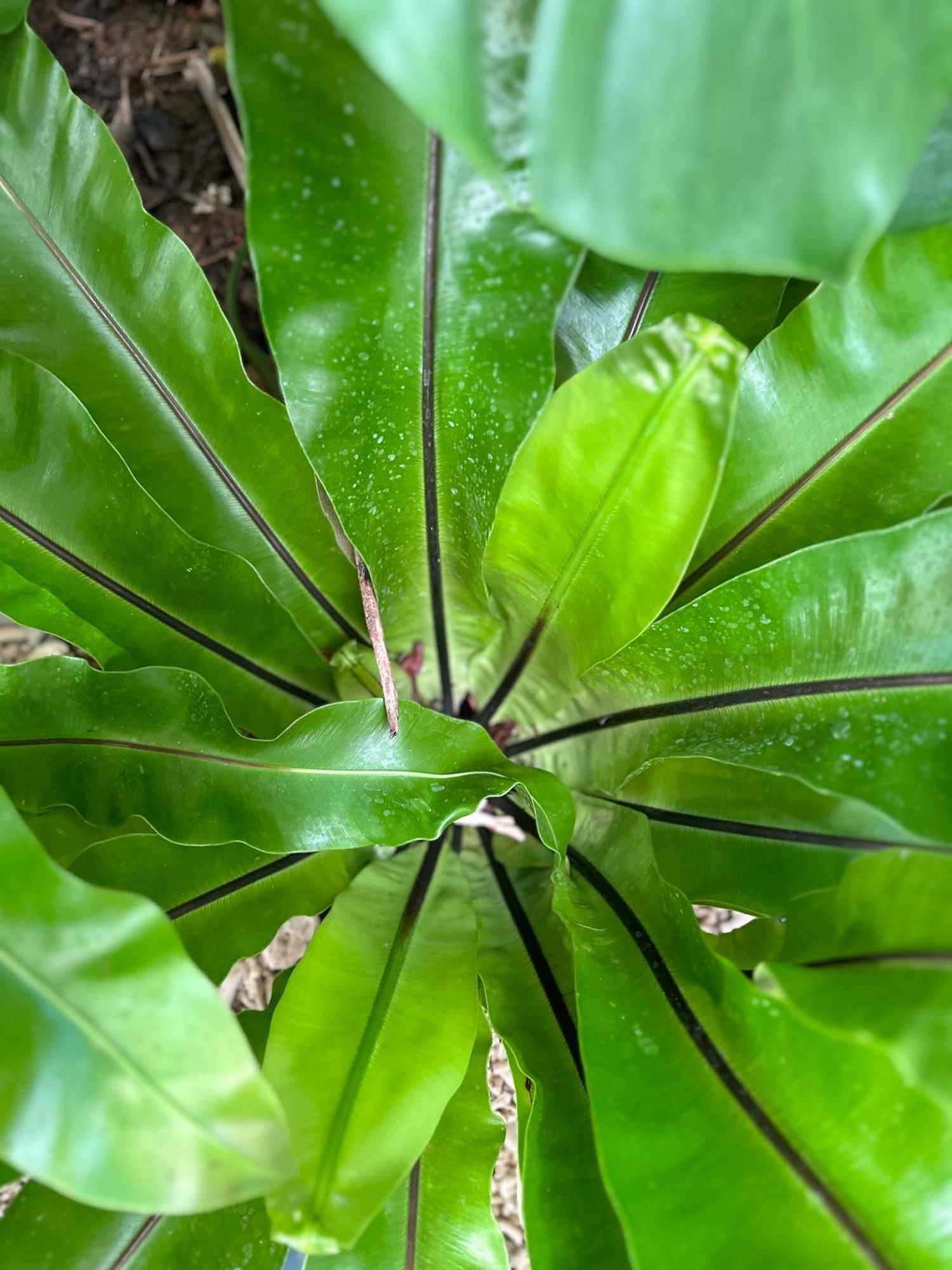 Palmcalina - Phuqui Beach House Cu Lao Thu エクステリア 写真