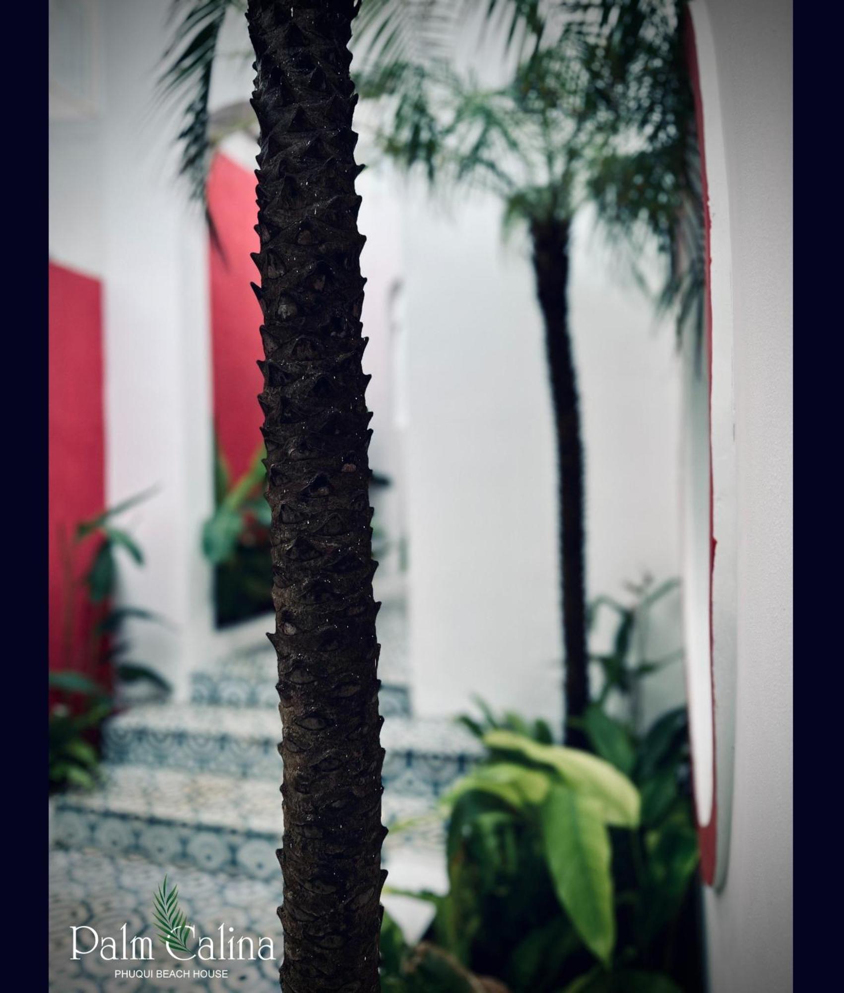 Palmcalina - Phuqui Beach House Cu Lao Thu エクステリア 写真