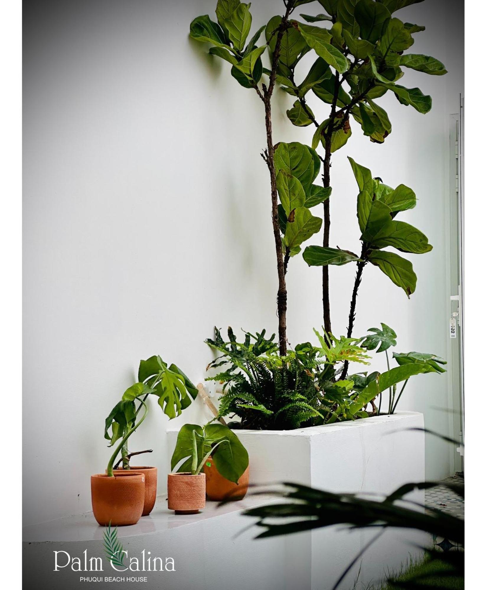 Palmcalina - Phuqui Beach House Cu Lao Thu エクステリア 写真